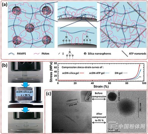 纳米复合双网络水凝胶的(a)网络结构,(b)力学性能,(c)压缩前后的透射