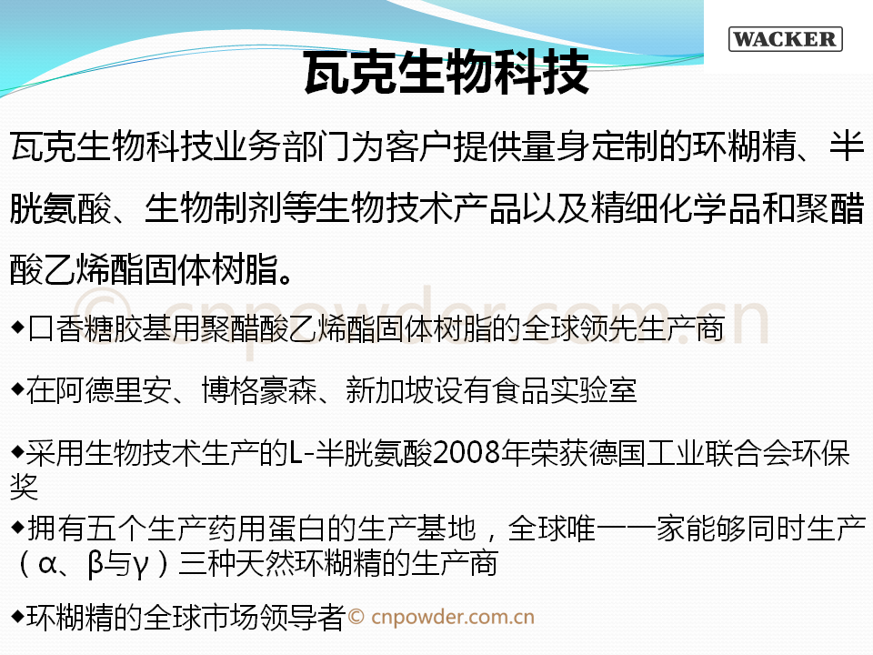44页ppt了解德国瓦克化学有限公司